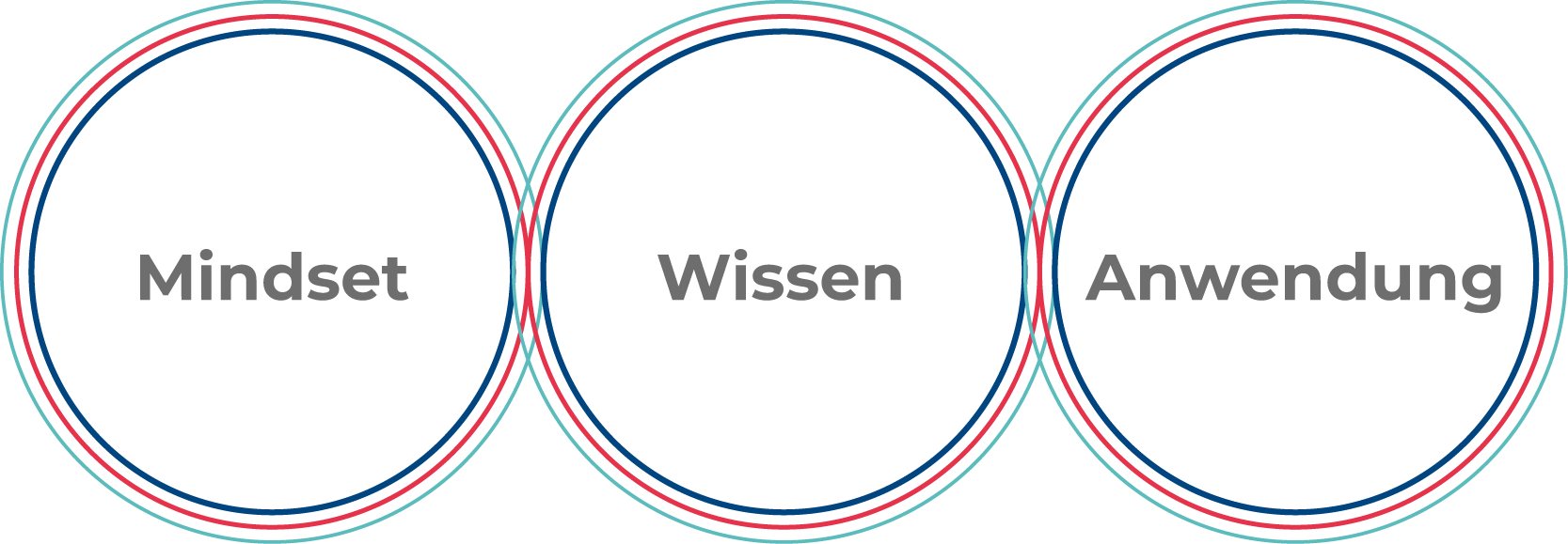 MindsetWissenAnwendung